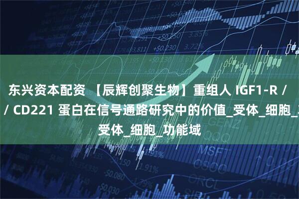 东兴资本配资 【辰辉创聚生物】重组人 IGF1-R / IGFR1 / CD221 蛋白在信号通路研究中的价值_受体_细胞_功能域
