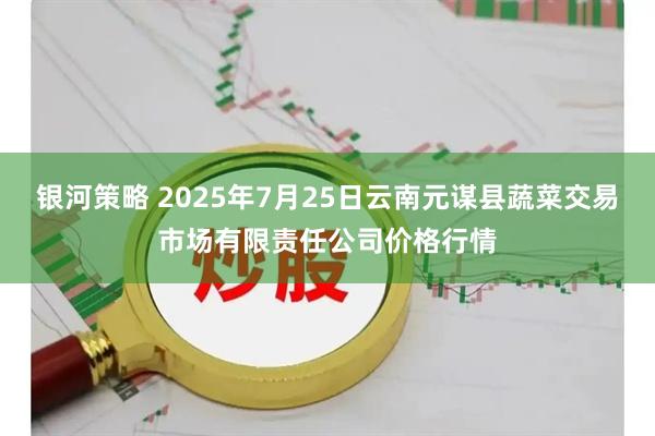 银河策略 2025年7月25日云南元谋县蔬菜交易市场有限责任公司价格行情